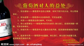葡萄酒广告