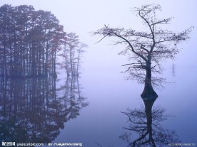 欧洲风景