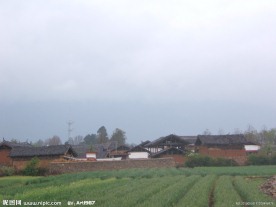 农村风景