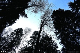 眺望天空