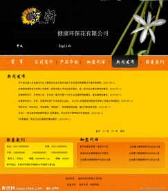 欧美风格网站模板