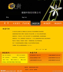 欧美风格网站模板加盟代理