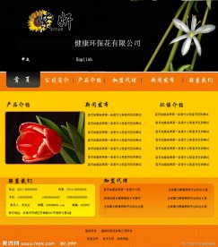 欧美风格网站模板