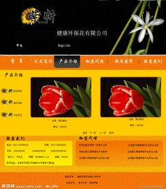 欧美风格网站模板产品页