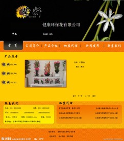 欧美风格网站模板产品内页2