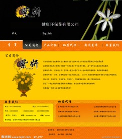 欧美风格网站模板公司简介