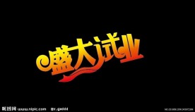盛大试业