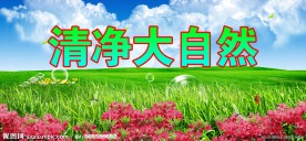 清净大自然