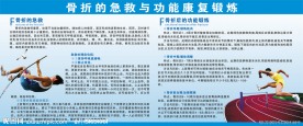 骨折挂图
