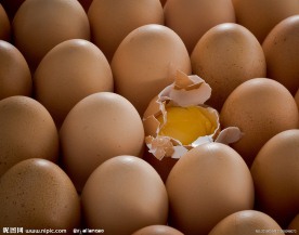 鸡蛋