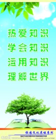 校园文化展板