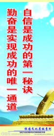 校园文化展板