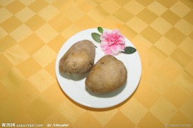 马铃薯 土豆