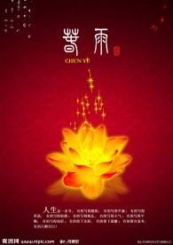 至尊高雅