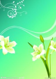 移门 百合花