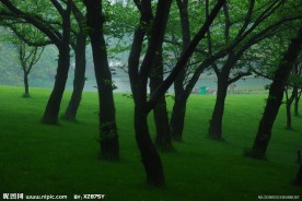 雨后风景