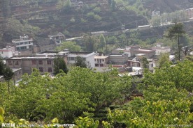 农村面貌 农村