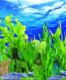 海底世界