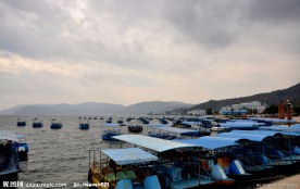 阳光海岸