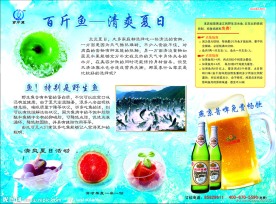 宣传单