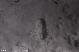 雪地里的脚印