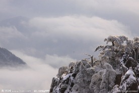 冬之黄山 晨松
