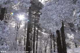 冬之黄山 透