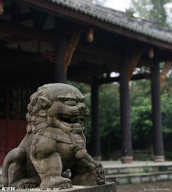 成都三圣乡