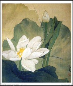 俞致贞 白荷