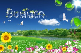 夏天summer