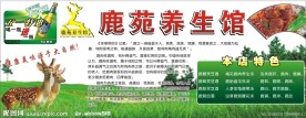 鹿肉养生馆