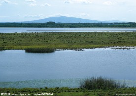 湿地公园