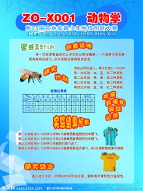 青少年科技大赛