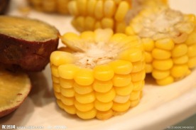 玉米 粗粮 菜