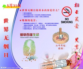世界无烟日