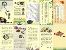 茶文化宣传册