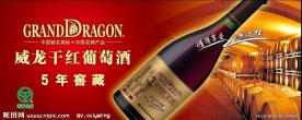 威龙