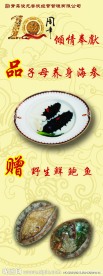 酒店易拉宝2