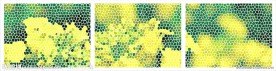 矢量装饰画