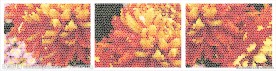 矢量装饰画
