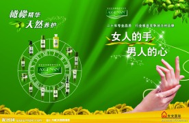 化妆品画册封面封底