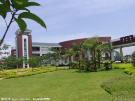 学校 华师大 嘉玛学校 嘉玛 校园 文化建设