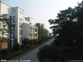 学校 华师大 嘉玛学校 嘉玛 校园 文化建设