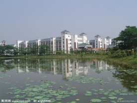 学校 华师大 嘉玛学校 嘉玛 校园 文化建设