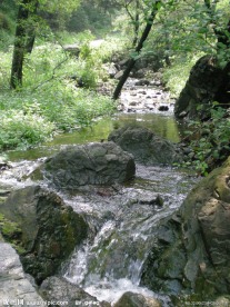鹤半山风景