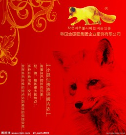 韩国金狐狸