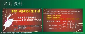 艺术舞蹈 高档名片