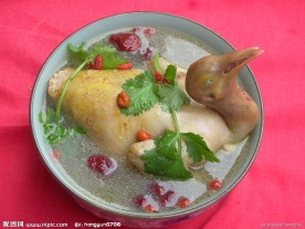 炖鸽子
