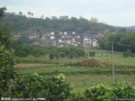 农村风景