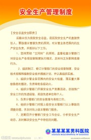 安全生产管理制度安全总监安全职责